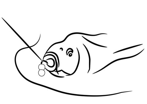 Carp Caught Coloring Page